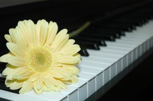 piano with flower